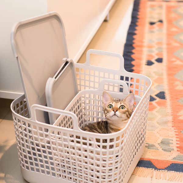 Cesto de plástico com tampa grande - oikos