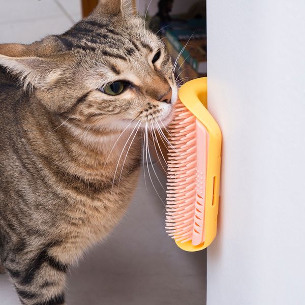 Escova massageadora de parede com catnip para gatos - oikos animal
